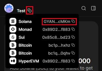 Copy your Solana address